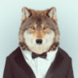 Meet your Posher, Kyle